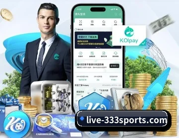333体育 APP 深度功能